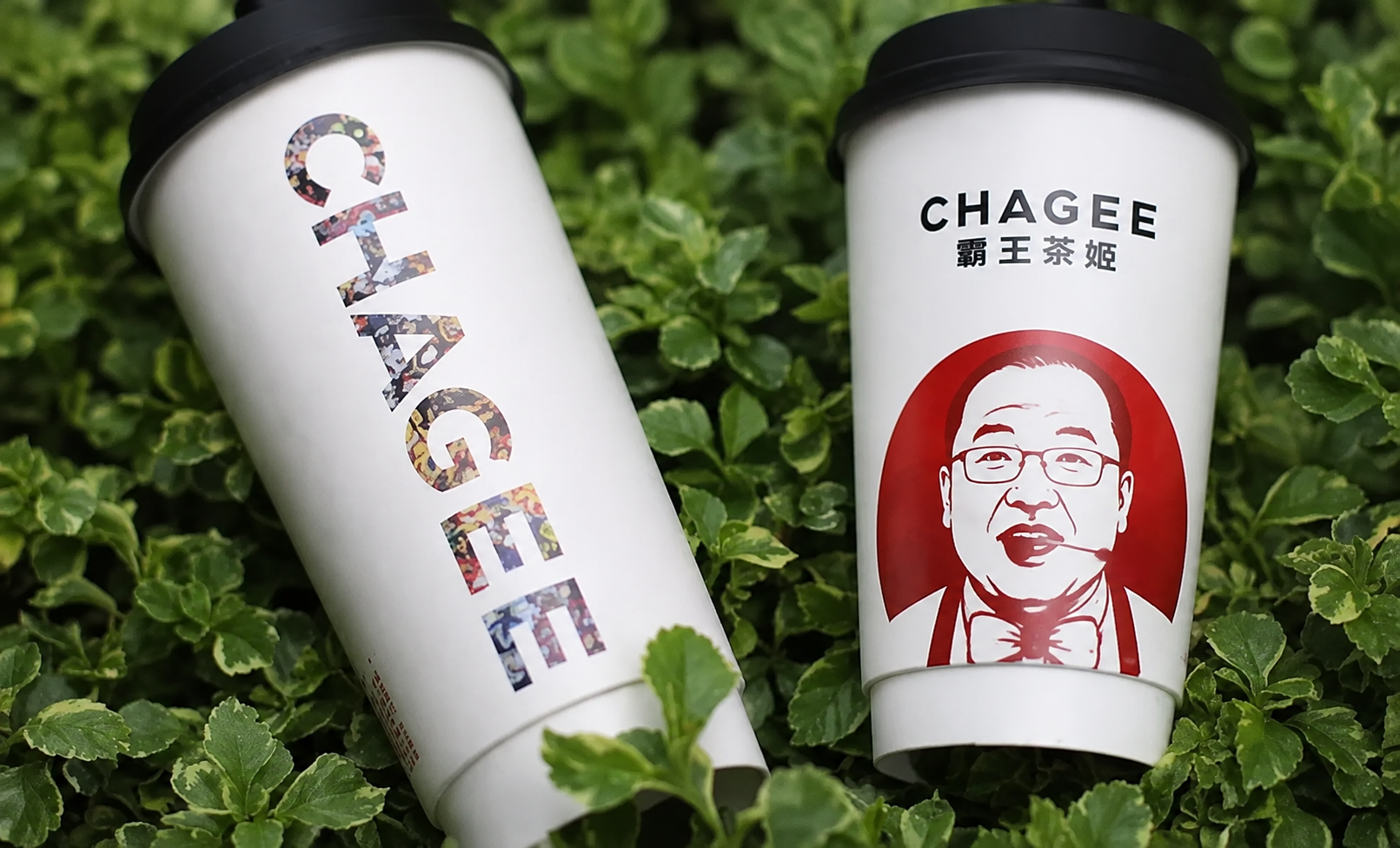 霸王茶璇